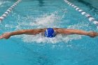 MSwim vs USCGA  Men’s Swimming & Diving vs US Coast Guard Academy. : MSwim, swimming